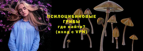 ALPHA PVP Алексин
