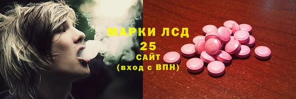 ГАЛЛЮЦИНОГЕННЫЕ ГРИБЫ Алексеевка