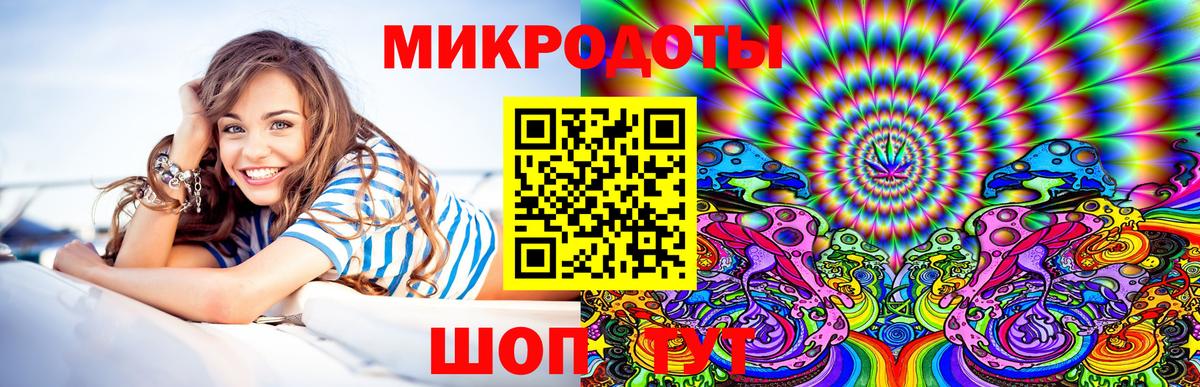 Псилоцибиновые грибы Psilocybine cubensis Тобольск