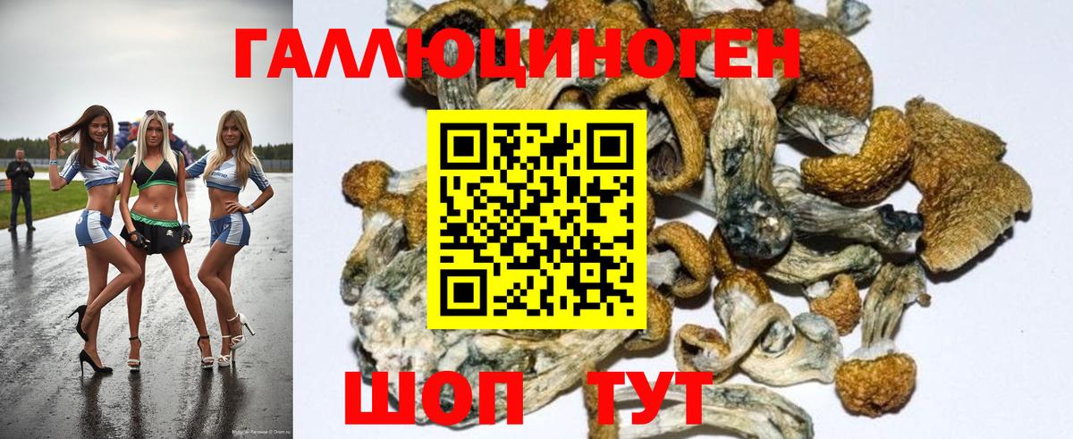 Галлюциногенные грибы Magic Shrooms  Вход с VPN  Тобольск 