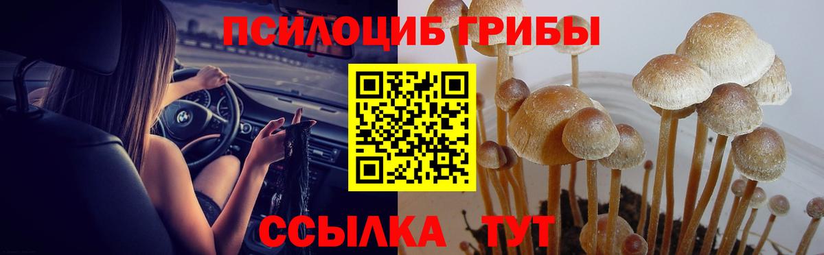 COCAIN Тобольск